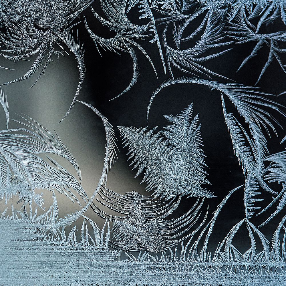 Photograph by Urszula Frydrych