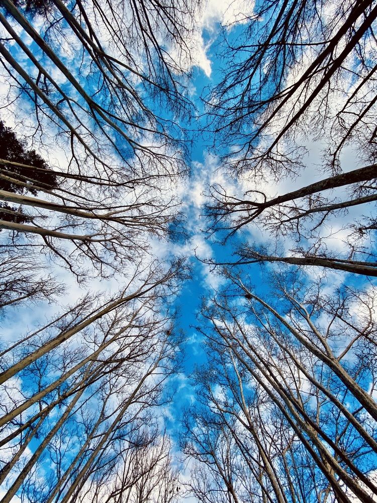 Photograph by Tiago França