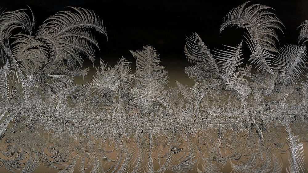 Photograph by Urszula Frydrych