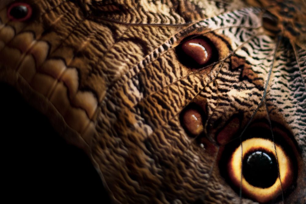 Photograph by Sanja Ristivojevic