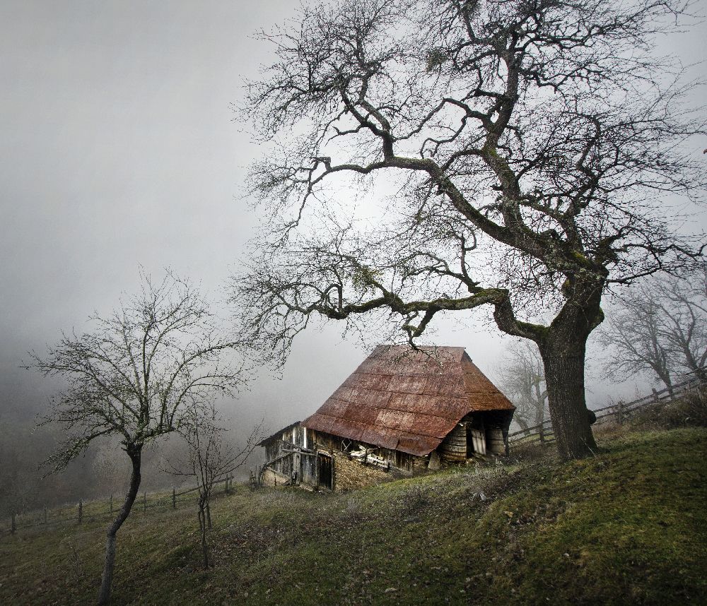 Photograph by muhamed borovic