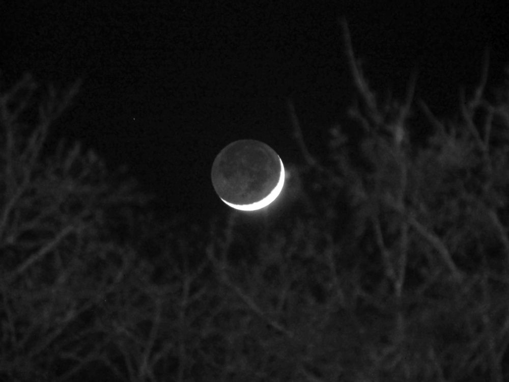 Moonshine