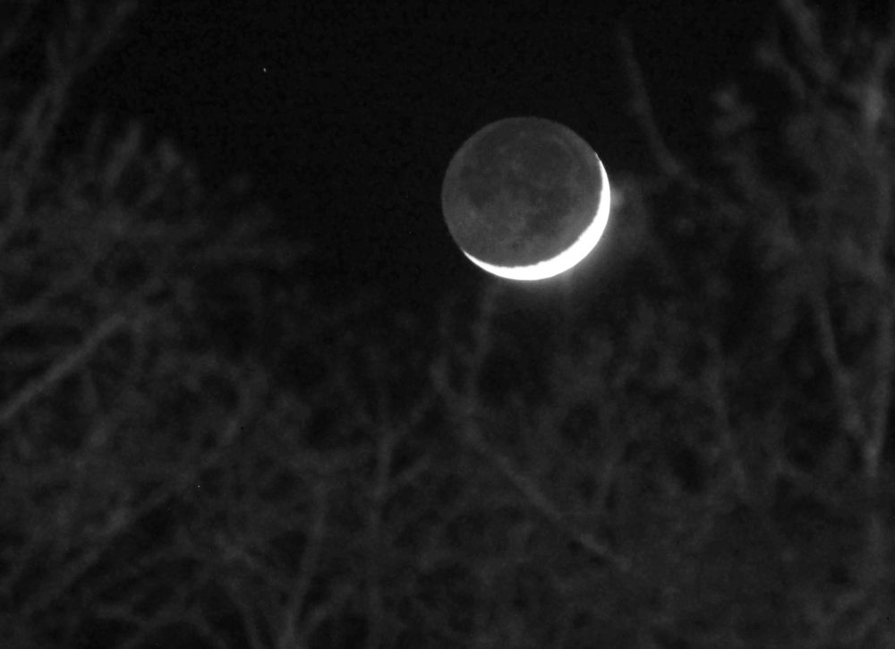 Moonshine