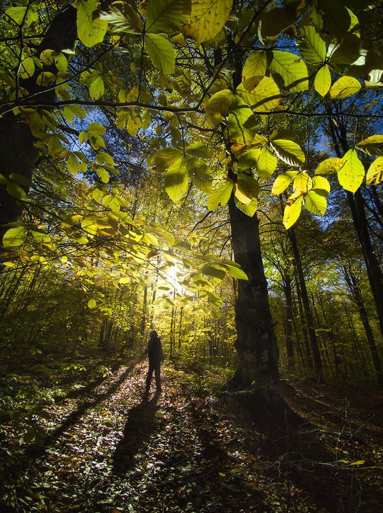 Photograph by Galip Çetiner