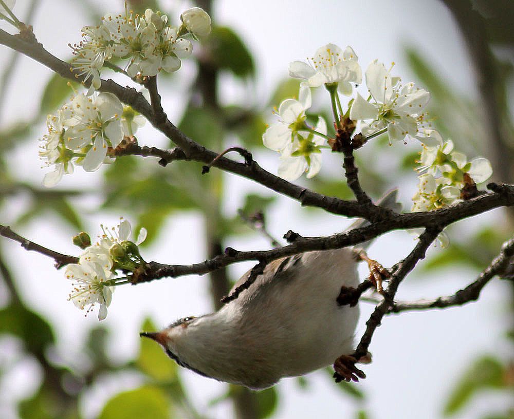 Photograph by Людмила Крышковец