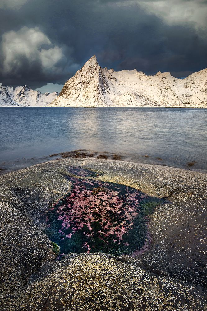 Photograph by Galip Çetiner