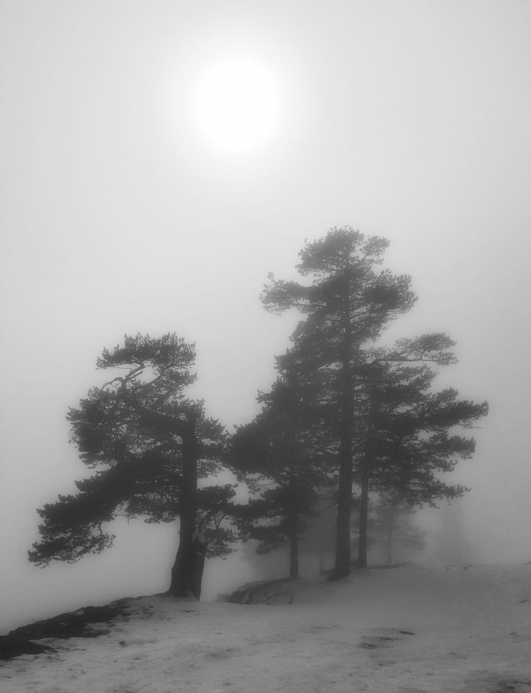 Photograph by Костадин Маджаров