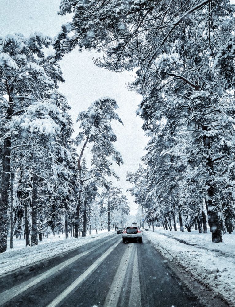 Фотография автора Ольга Никанович