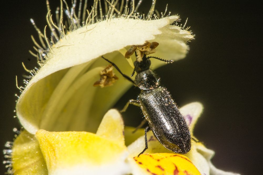 Photograph by Сергей Дикарев