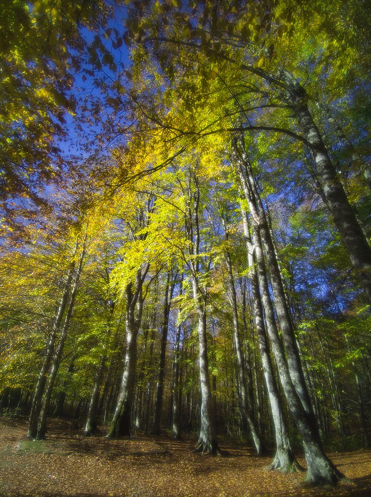 Photograph by Galip Çetiner