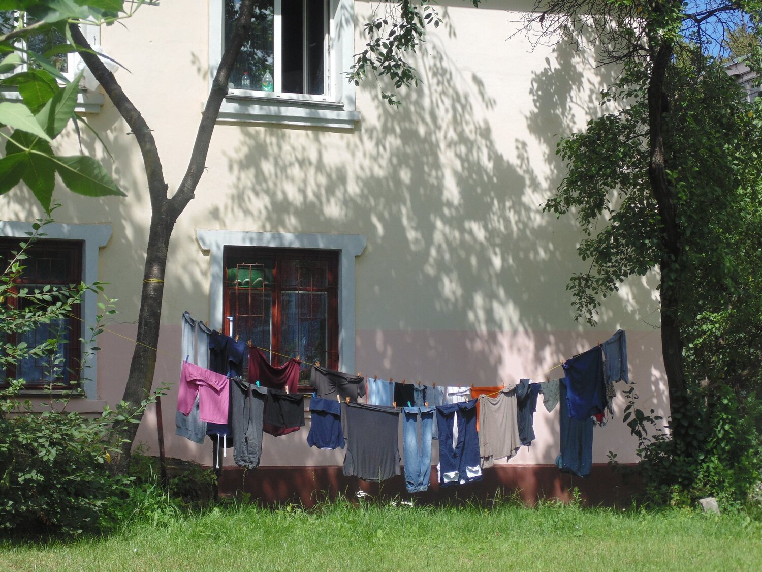 Photo #5837264
