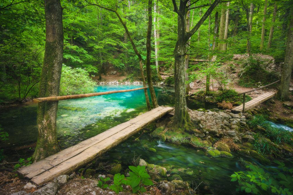 Фотография автора Bogdan Barbulescu