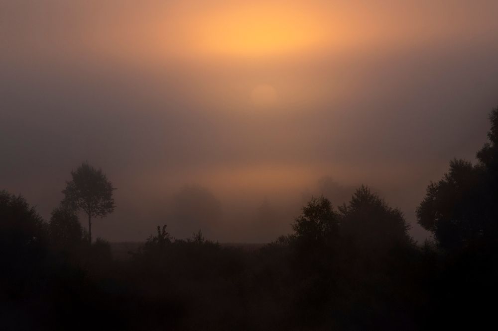 Photograph by Андрей Зуев