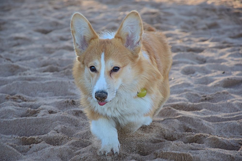 Фотография автора Альбина Хвастунова