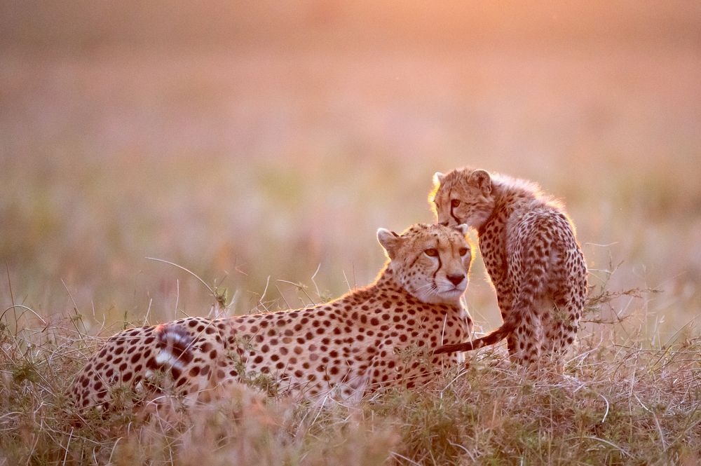 Photograph by solomon rajkumar rajasekaran