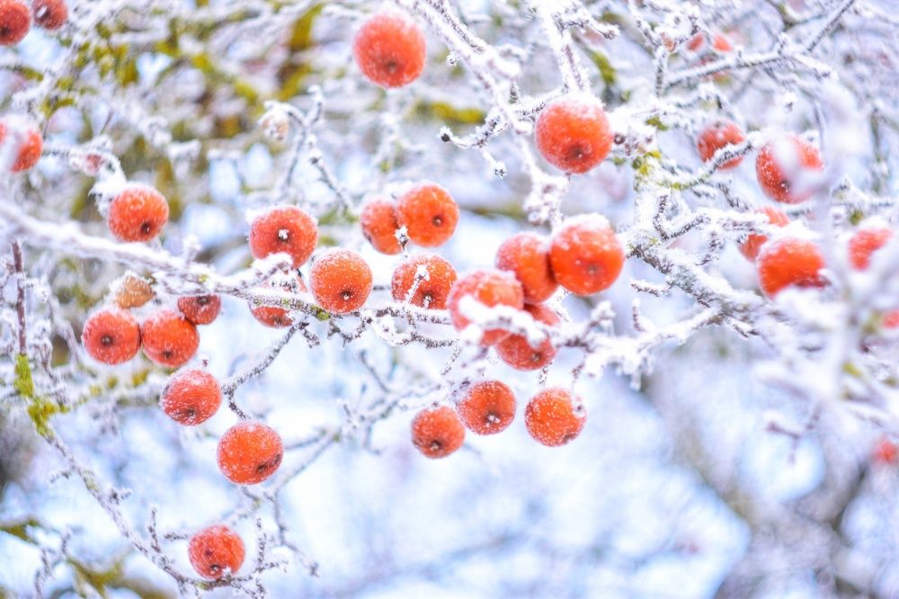 Photograph by Алеся Цеван