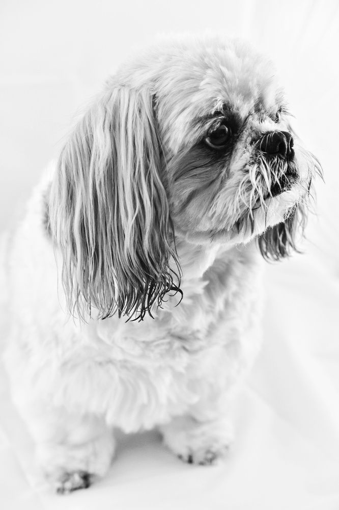 Фотография автора Justyna Jeżak