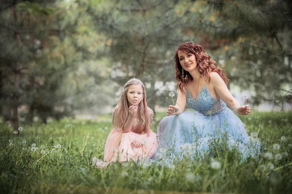 одуванчики