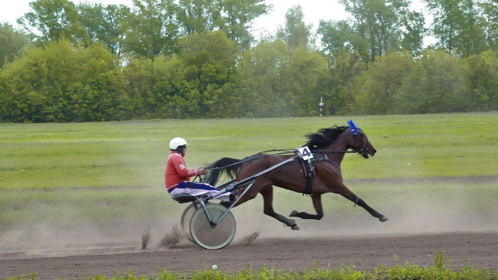 Победитель!....