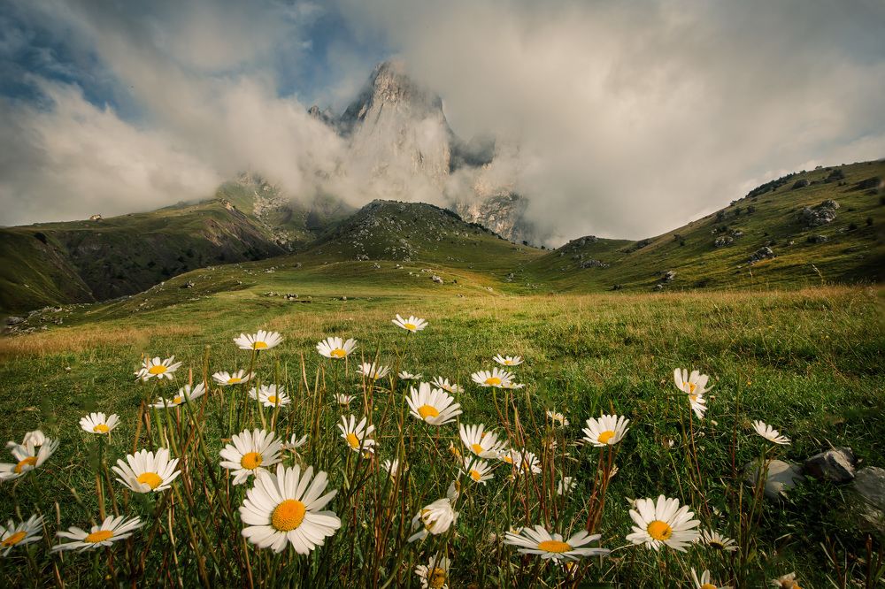Photograph by Виктория Нарчук