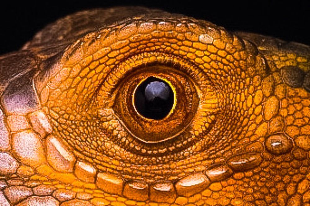 Photograph by EL Nova