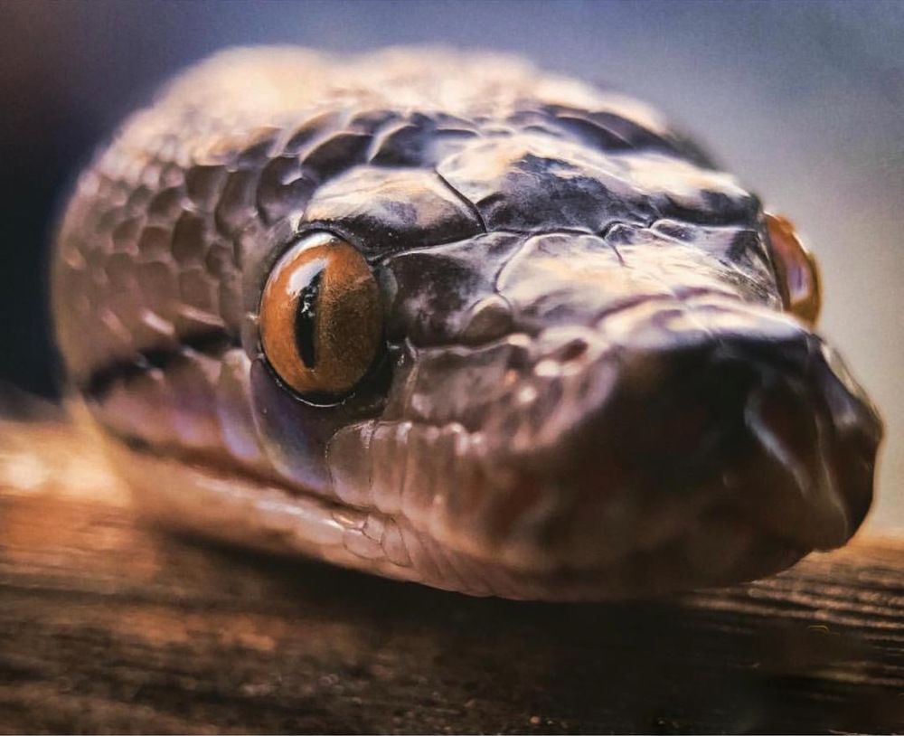 Photograph by EL Nova