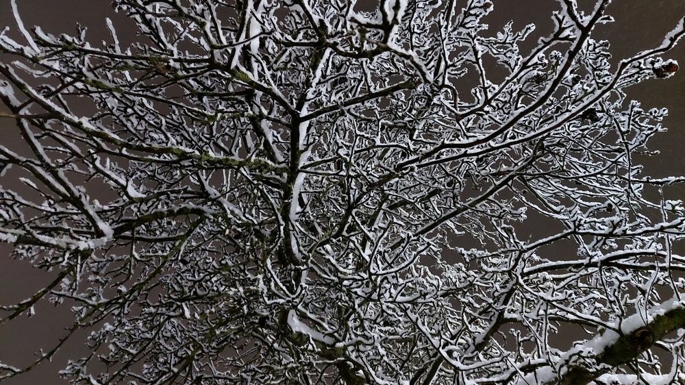 Photograph by ЭЛЬМИРА  ИСМАИЛОВА