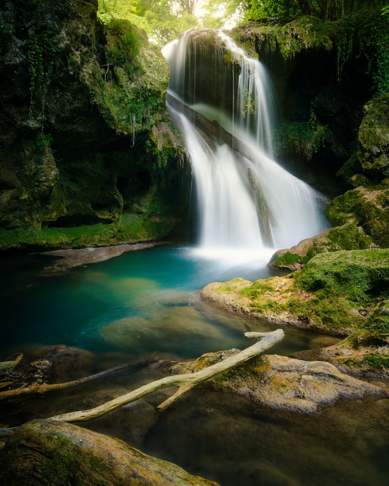 Фотография автора Bogdan Barbulescu