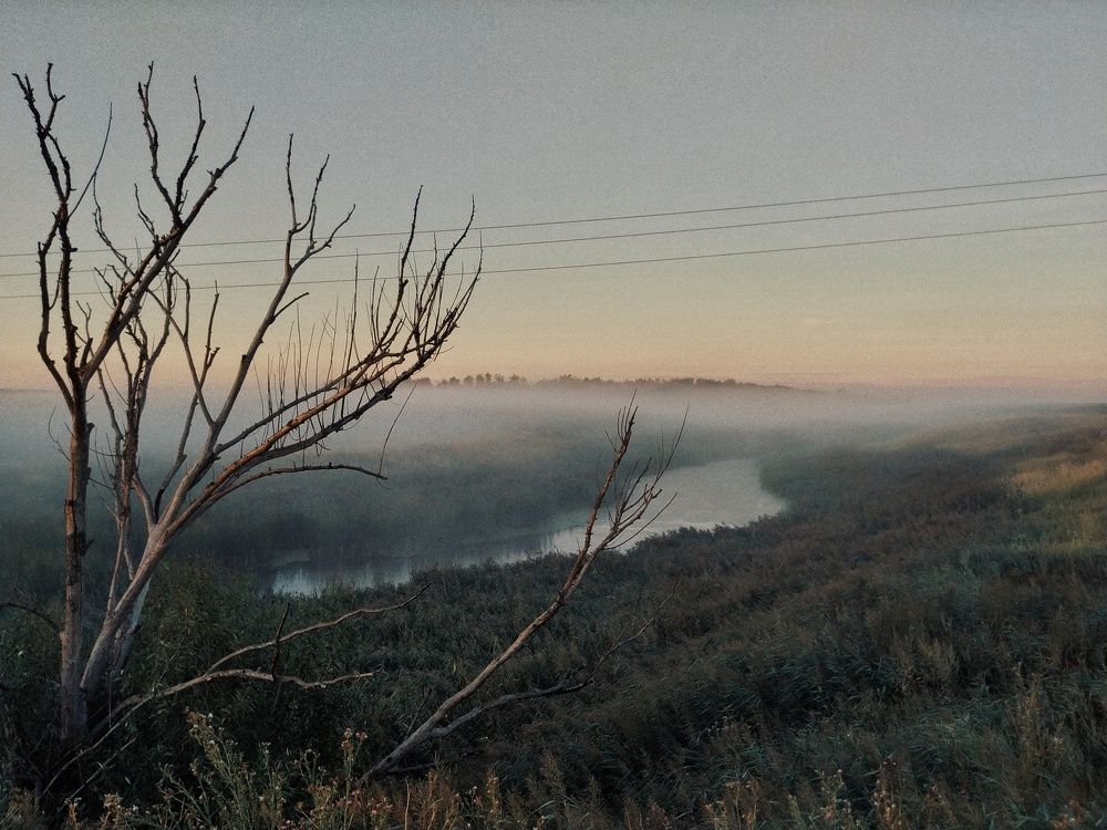 Photo #5837550