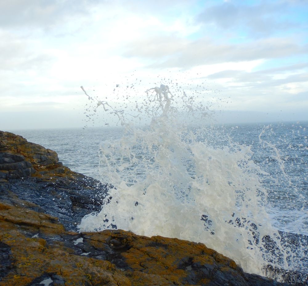 Photograph by Gunita Zonberga