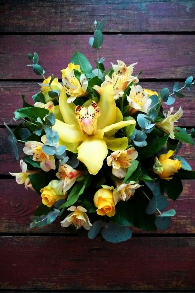 Photograph by Татьяна Зобова