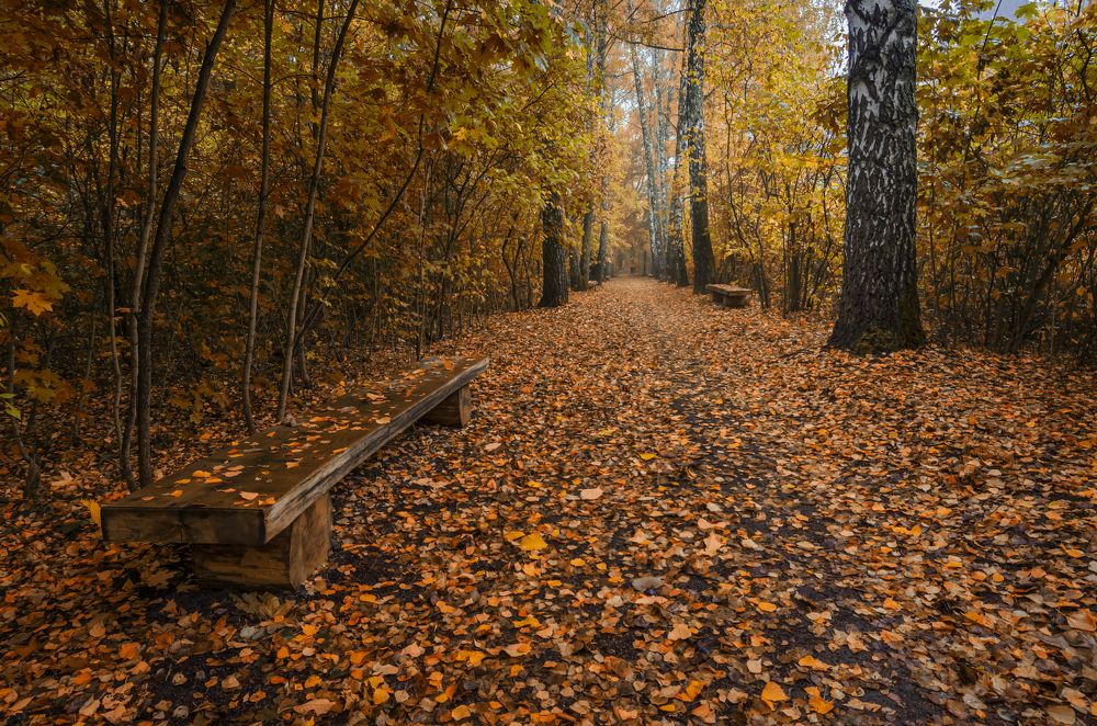 Photograph by Александр Кодак