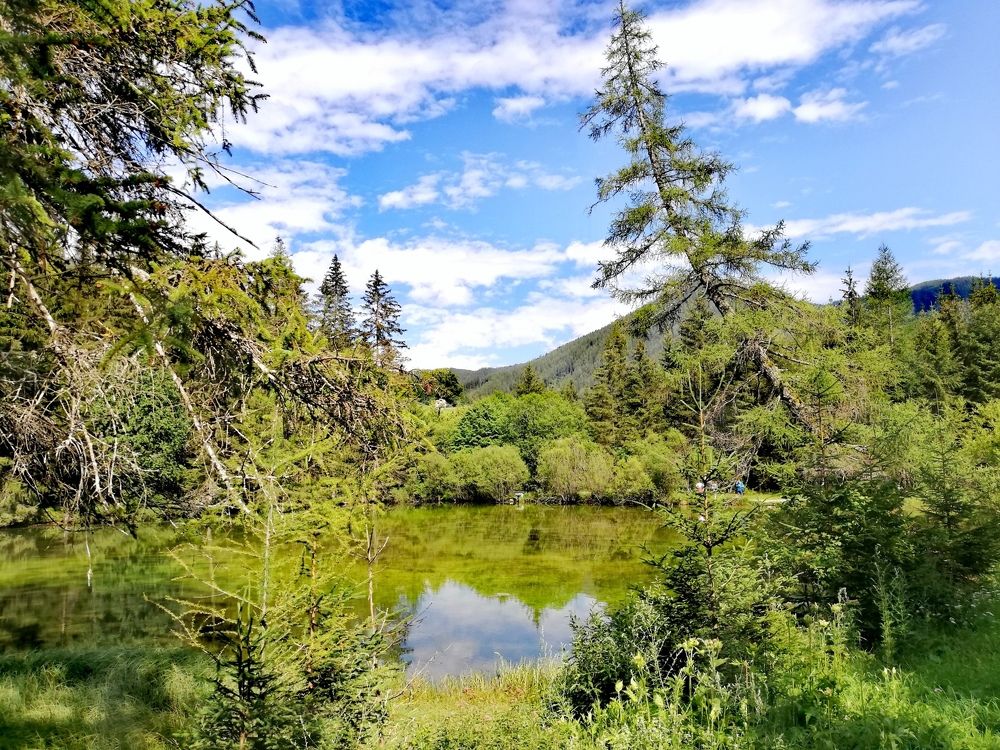 Photograph by O Olga