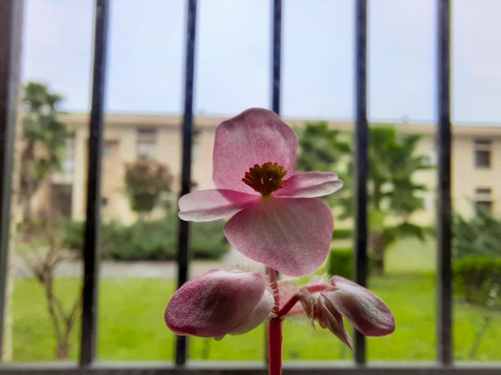 Photograph by Sina sadeghi