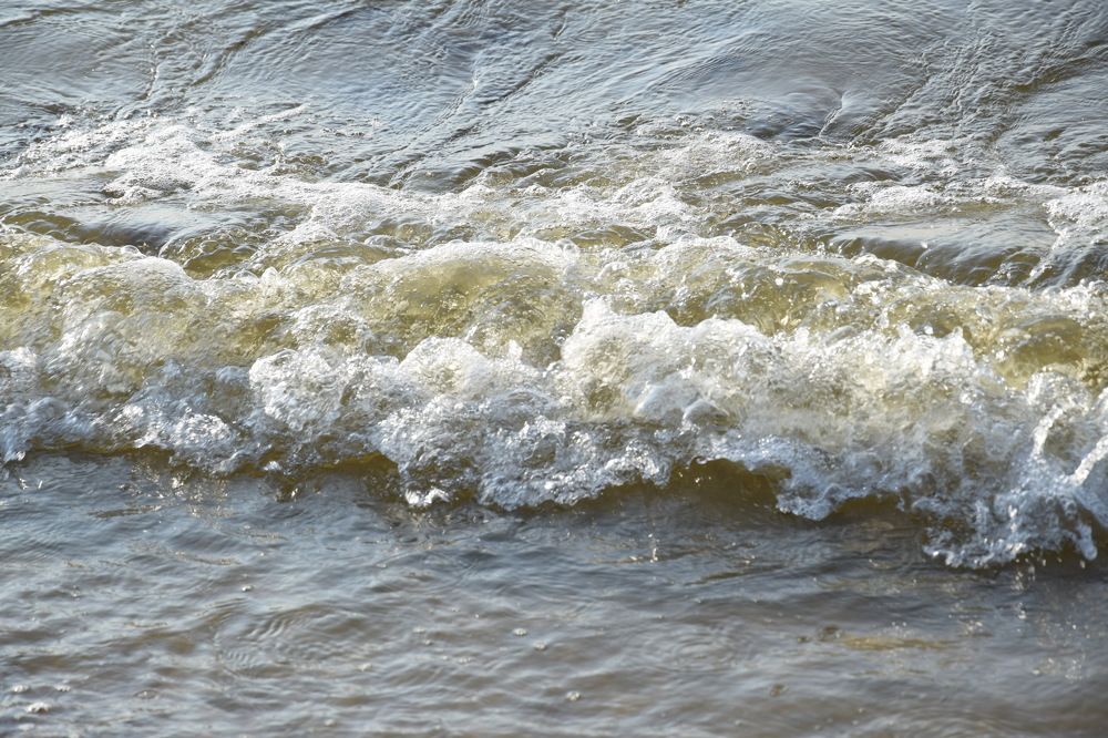 Photograph by Jolanta Zutiene