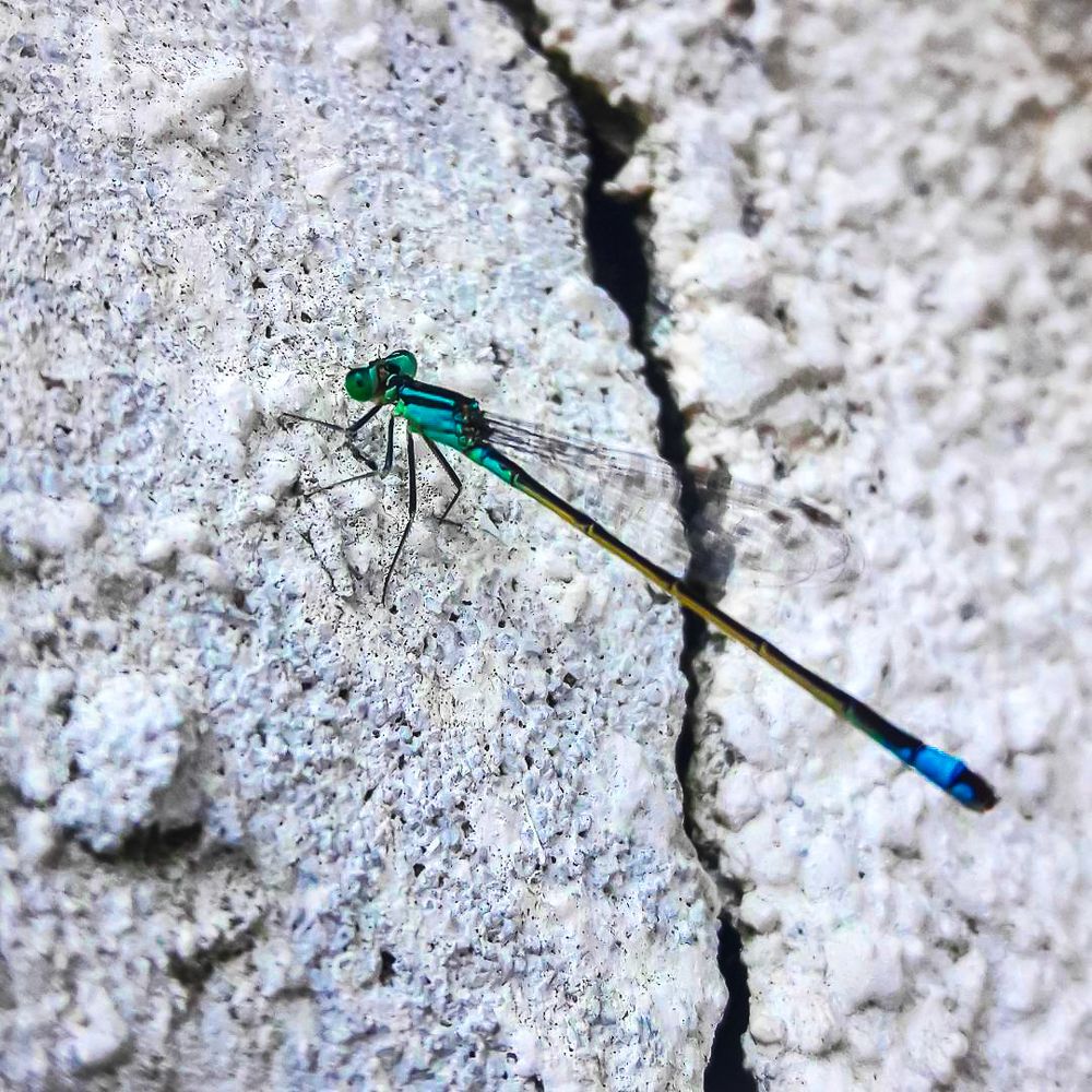 Photograph by Sina sadeghi