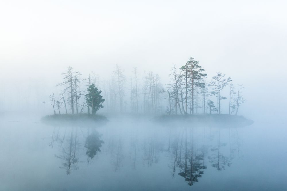 Collision of reality and illusion