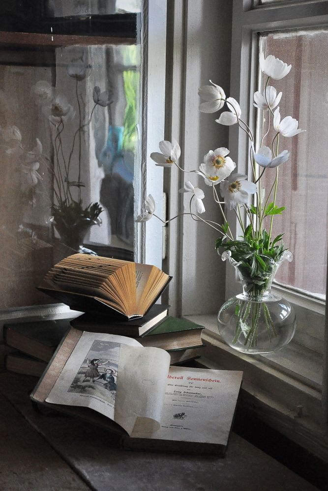 Забытое чтение...