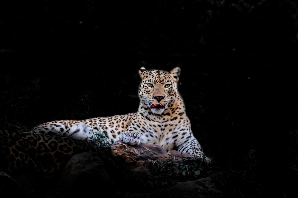 Фотография автора Kuramana Ashok Kumar