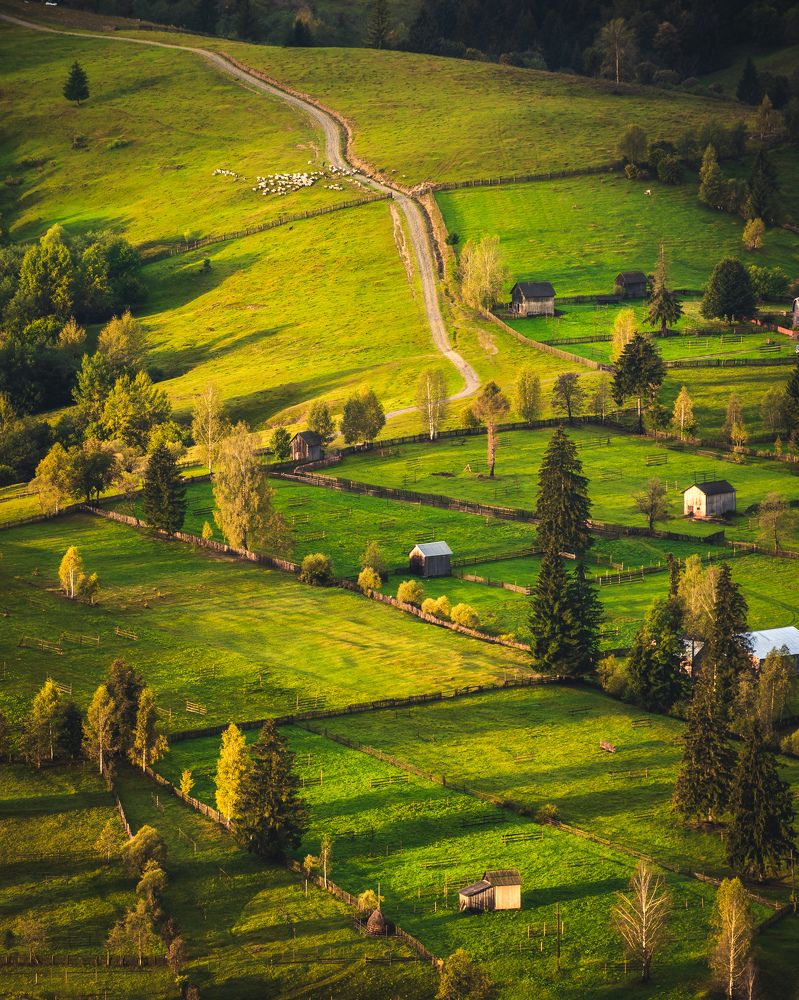 Фотография автора Bogdan Barbulescu