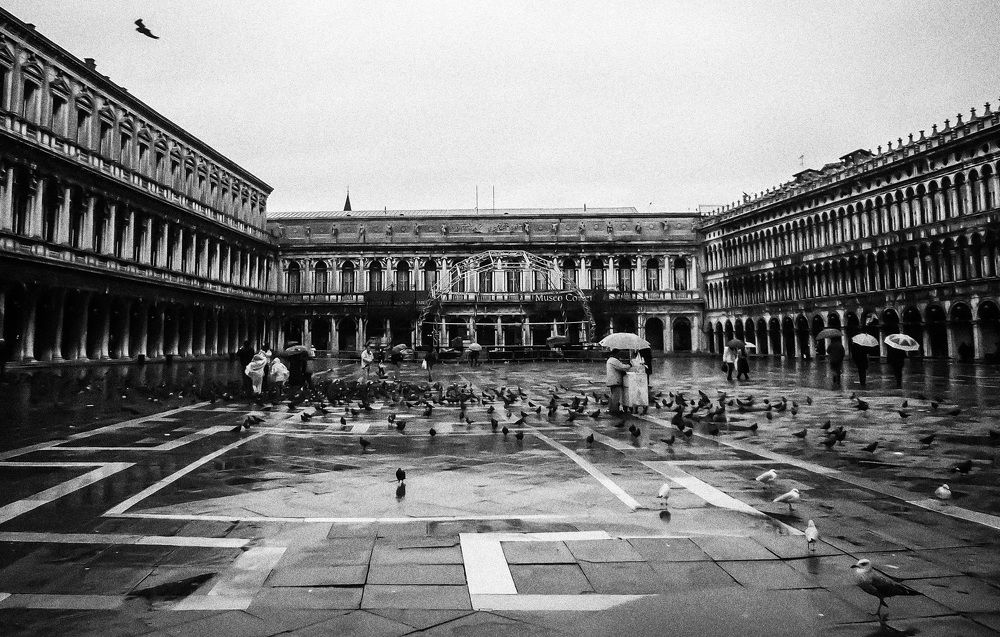 Photograph by Мария Буданова