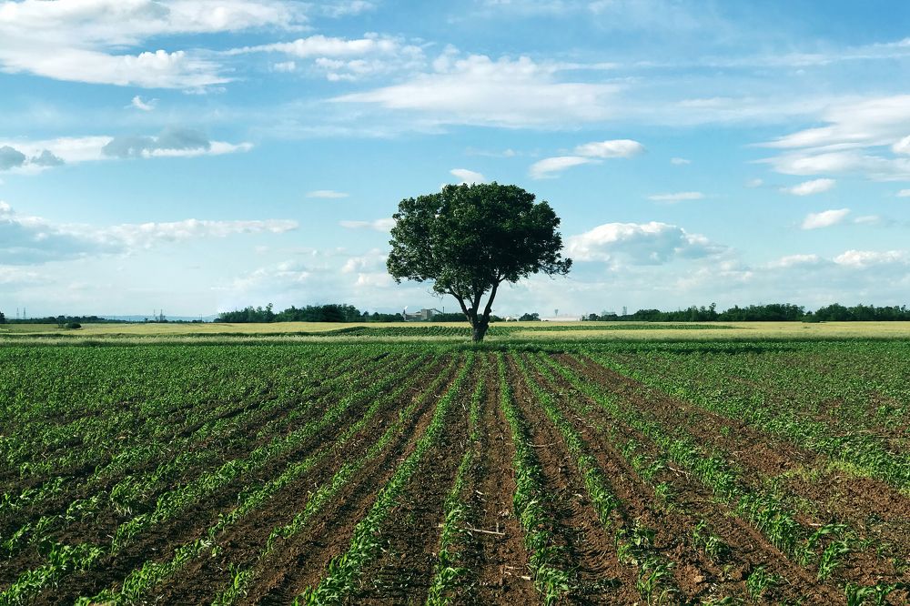 Photograph by Marko Stoickov