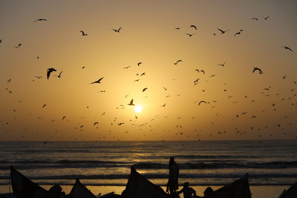 Photograph by Alzohairi Rabee