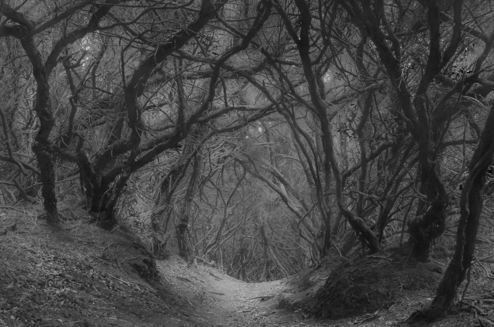 Photograph by Анна Острянко