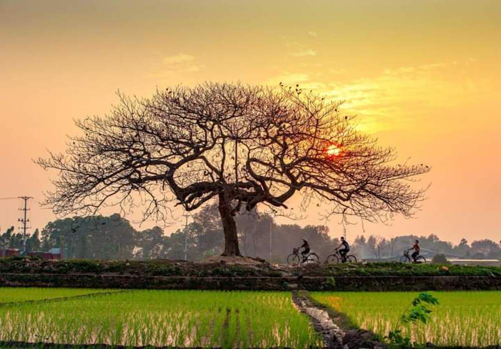 Photograph by Ngọc Nguyễn