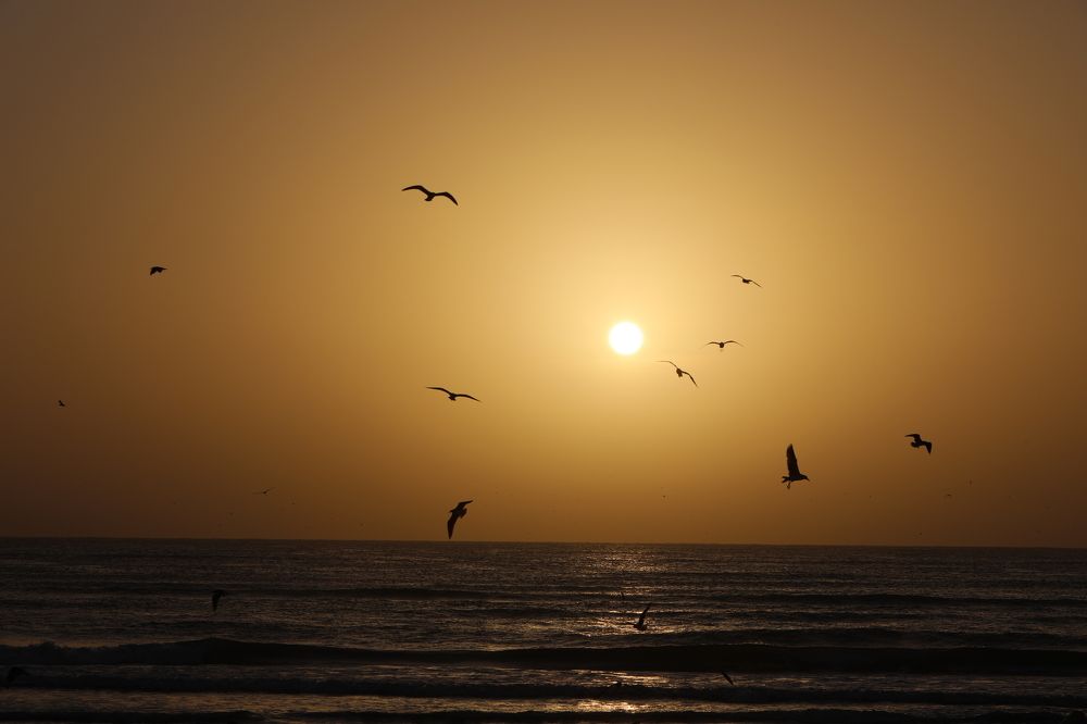 Photograph by Alzohairi Rabee