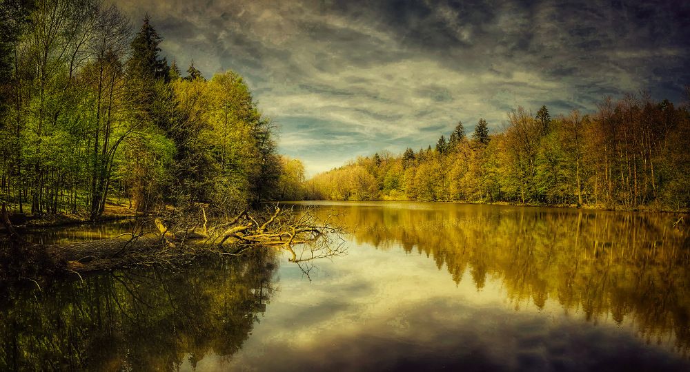 Оденвальд / Odenwald