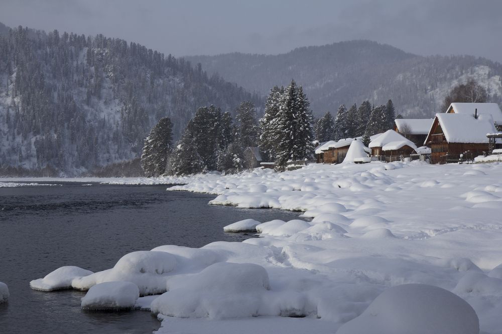 Солнечное утро на реке Бия.