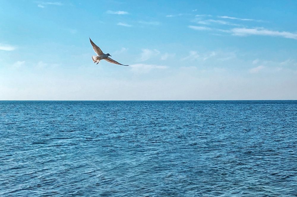 Photograph by Алина Подгорная-Стукун
