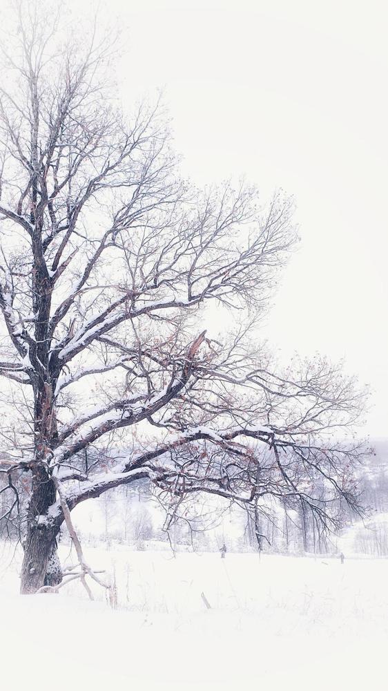 Первое января